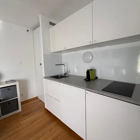 Apple Chamonix, Centre, Parking, Ski-in/out Apartment Chamonix